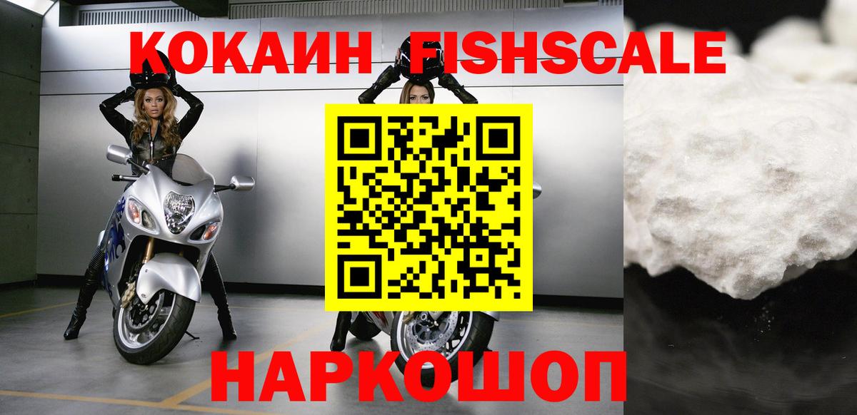 A PVP Владикавказ