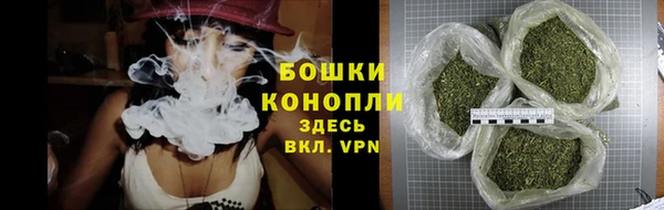 прущие крисы Магас