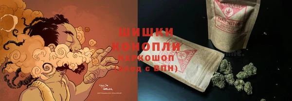 прущие грибы Бронницы