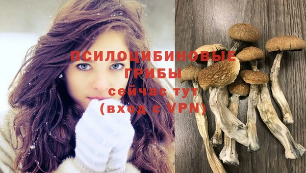 соль курить ск Липки