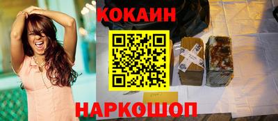 МДПВ Бийск