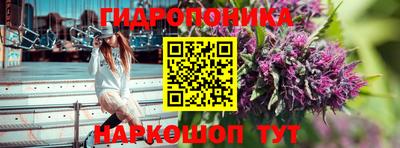 шишки Беслан