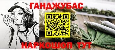 МДПВ Бийск