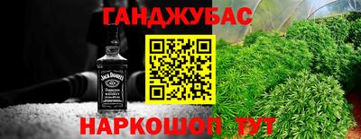 МДПВ Бийск