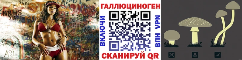 Псилоцибиновые грибы Psilocybe  Владикавказ 