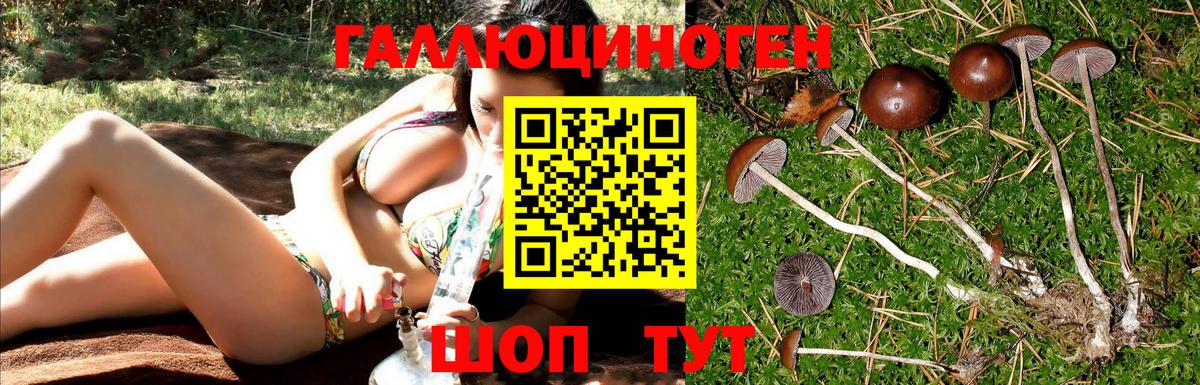 ТГК Владикавказ
