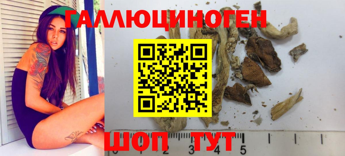 Владикавказ  Галлюциногенные грибы Psilocybe  Вход с VPN  Псилоцибиновые грибы GOLDEN TEACHER 